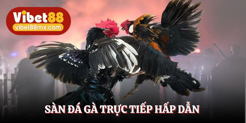 Đá gà trực tiếp - Sàn đấu kịch tính, hấp dẫn tột đỉnh
