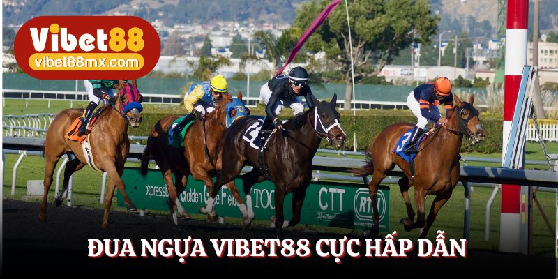 Đua ngựa Vibet88 - Sảnh cược hấp dẫn cho người chơi
