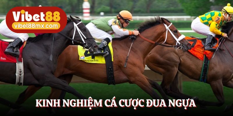 Kinh nghiệm cá cược đua ngựa bất bại từ chuyên gia