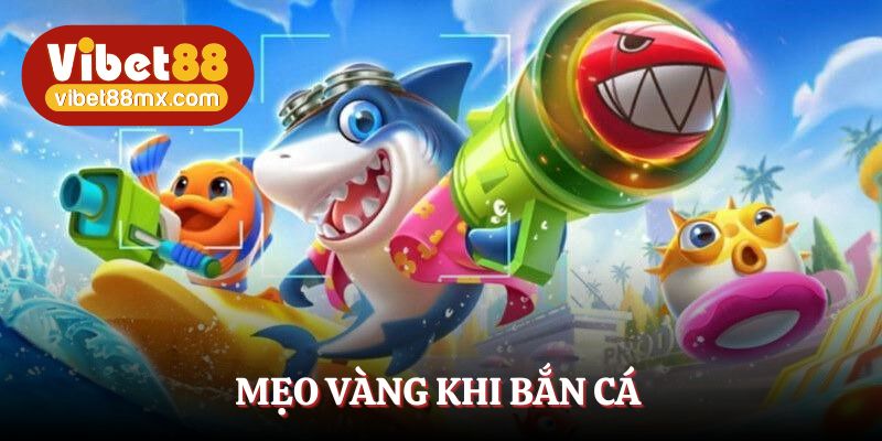 Mẹo vàng cho ngư thủ khi săn cá