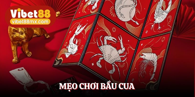 Một vài cách chơi bầu cua dễ thắng cho người mới