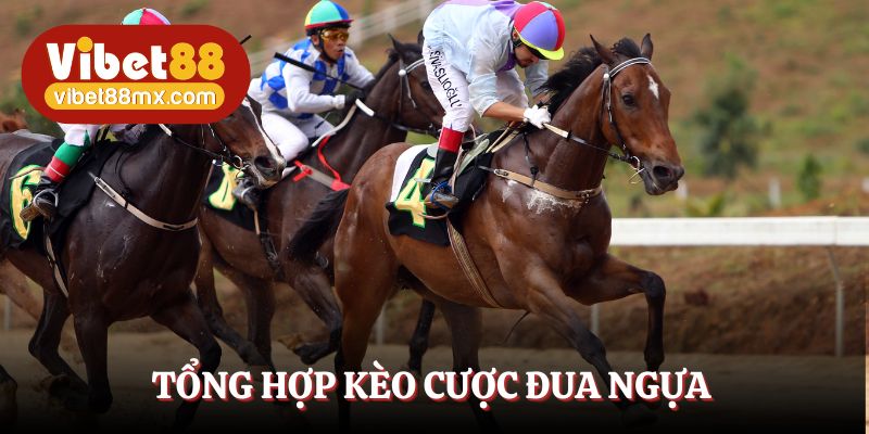 Tổng hợp kèo cược đua ngựa Vibet88 phổ biến